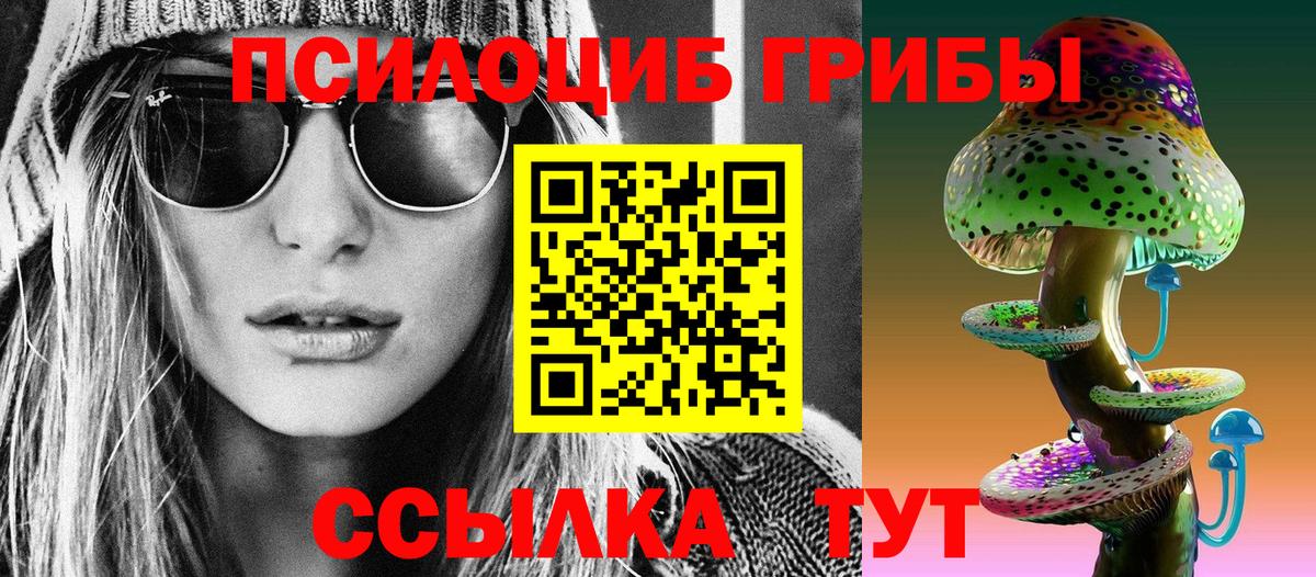 Галлюциногенные грибы прущие грибы  Вход с VPN  Калуга 